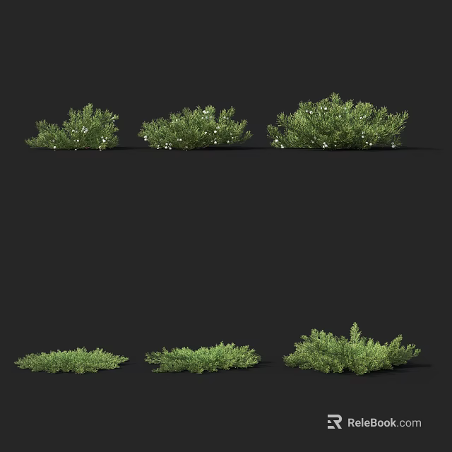 3D Rendered Green Plants With White Flowers Different Shapes Sizes And Lush Leaves Six Clusters 3d model 