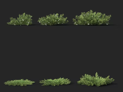 3D Rendered Green Plants With White Flowers Different Shapes Sizes And Lush Leaves Six Clusters 3d model
