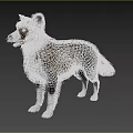 Brown And White Border Collie Standing With Realistic Fur And Gray Background
