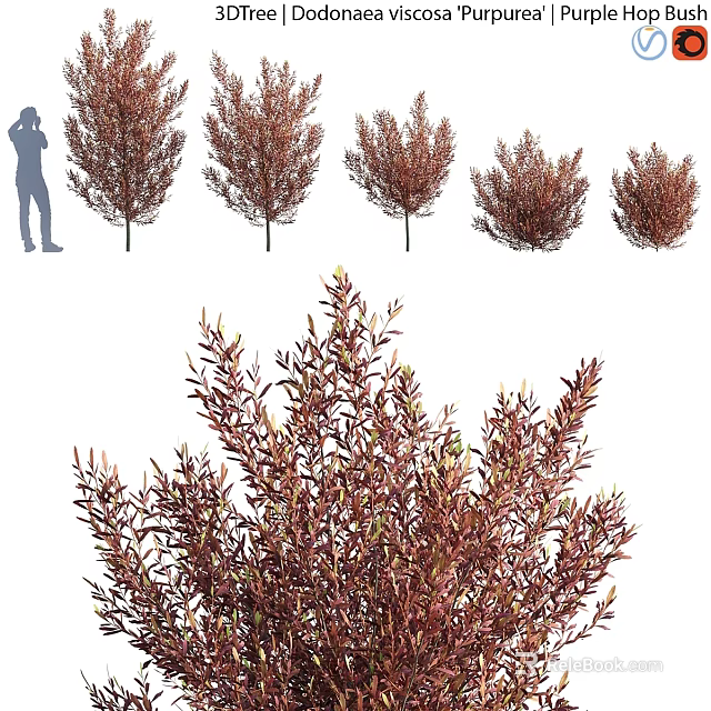 Garden Accent Pieces With Red Leaf Shrubs For Outdoor Garden Decoration 3d model 
