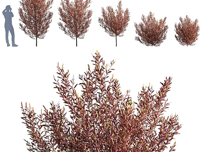 Garden Accent Pieces With Red Leaf Shrubs For Outdoor Garden Decoration 3d model