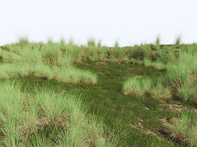 Lush Green Grass Field With Natural Tall And Short Grass Growth On Slope 3d model