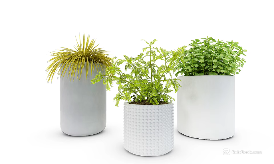 Potted Bonsai Plants in White and Gray Ceramic Pots with Green Foliage and Yellow Grass 3d model 