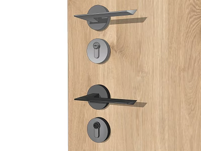 Stylish Modern Door Handle Design With Black Metal Finish On Wooden Door 3d model