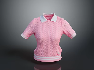 Pink Knitted Short Sleeve Top with White Collar Cuffs and Hem 3d model