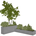 Modern Concrete Tree Planter With Green Tree And Lush Shrubs