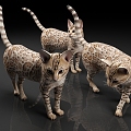 Bengal cat leopard cat cat wild animal animal cat 3d model