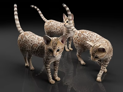 Three Leopard Patterned Reptiles Standing On Smooth Surface With Reflections 3d model