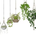 Hanging Basket Plants With Various Green Foliage And Decorative Hanging Designs
