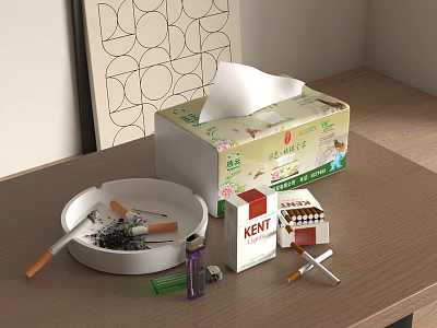 Stylish Decorative Ornament Set With Tissue Box Ashtray Cigarette Pack And Lighter On Wooden Table 3d model