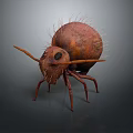 Realistic Brown Ant With Spiky Back Hairs Long Antennae And Slender Legs