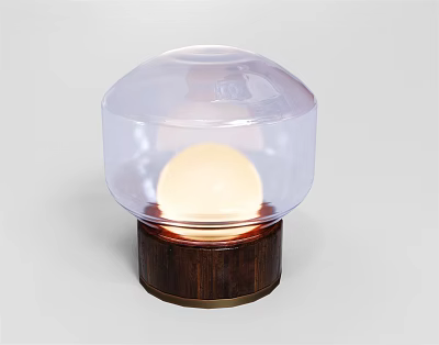 Modern Table Lamp With Transparent Dome Shade And Illuminated Spherical Bulb On Wooden Base 3d model