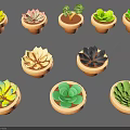 Various Types of Succulent Plants in Ceramic Pots Neatly Arranged with Diverse Shapes and Colors