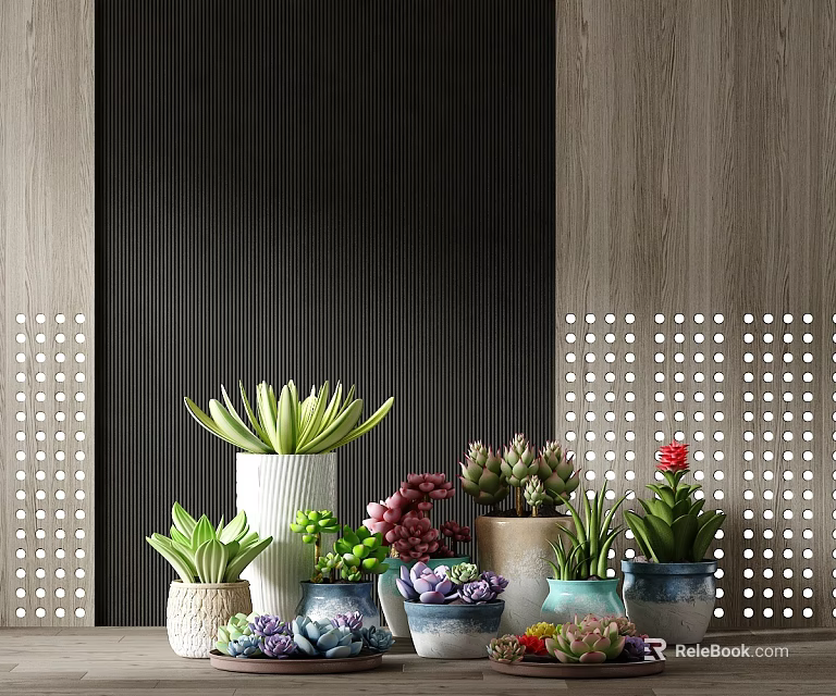 Potted Plants with Various Succulents in Decorative Pots for Modern Interior Decoration 3d model 