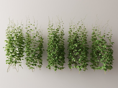 Modern Vine 3d model