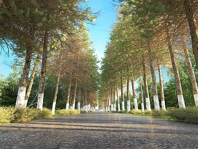 Countryside Road Forest Landscape Green Planting Pine Tree Jungle Park Road Landscape Fir Tree Garden Landscape 3d model