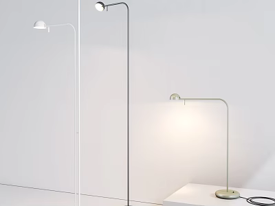Modern Sleek Floor Lamps In Various Colors With Round Heads For Interior Decor 3d model