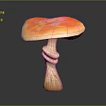 Fresh Vegetable Mushroom With Orange Pink Gradient Cap And Twisted Stem On Dark Background