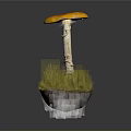Vibrant Orange Cap Mushroom with White Stem and Green Grass on Base against Dark Background