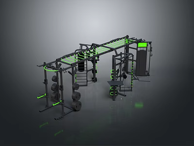 Modern Multi functional Home Gym Equipment With Training Racks And Dumbbells 3d model