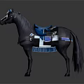 Traditional Decorated Horse With Blue Saddle Ornamental Bridle And Tassels