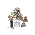 Elegant Decorative Ornament Combination With Marble Planter Glass Vase And Dried Pampas Grass