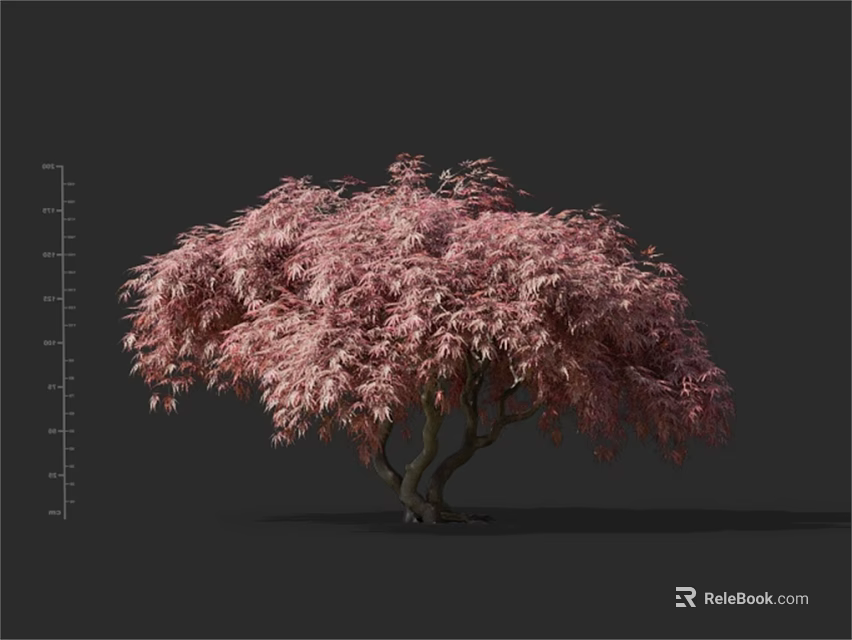 Ornamental Arbor With Pink Foliage And Lush Drooping Canopy For Landscape Design 3d model 