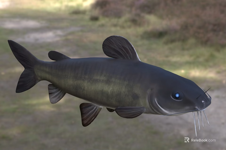 Aquatic Black Fish with Striking Blue Eyes Prominent Whiskers Detailed Closeup View 3d model 