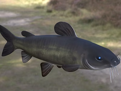 Aquatic Black Fish with Striking Blue Eyes Prominent Whiskers Detailed Closeup View 3d model