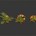 Fresh Red Strawberries With Green Leaves On Black Background With Reflections