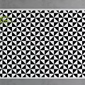 Square Rug Featuring Black And White Geometric Pattern Modern Design With Green Plant