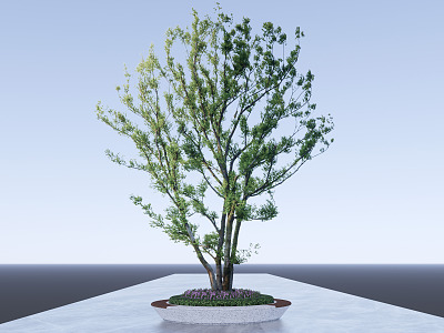 Modern Tree Pond Arbor Cluster Park Landscape Tree Pond model