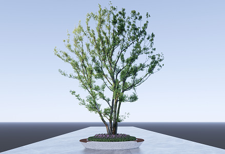 Modern Tree Pond Arbor Cluster Park Landscape Tree Pond 3d model