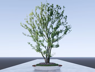 Modern Tree Pond Arbor Cluster Park Landscape Tree Pond 3d model