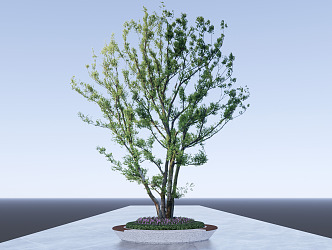 Modern Tree Pond Arbor Cluster Park Landscape Tree Pond 3d model