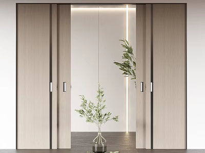 Modern Interior Sliding Doors With Wooden Frames Glass Panels And Green Plant 3d model