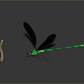 Green and Black Dragonfly with Slender Body and Black Wings Next to Wooden Stick