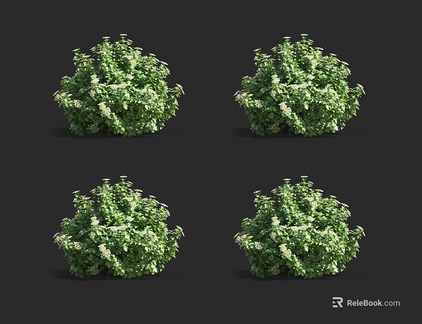 Four Lush Green Shrubs Displaying Dense Foliage And Bushy Appearance 3d model 