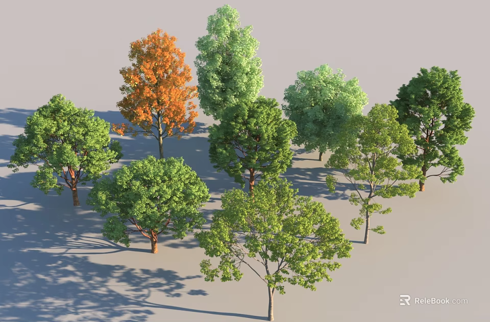 Diverse Arbor Trees with Green Orange Leaves and Varied Trunk Forms 3d model