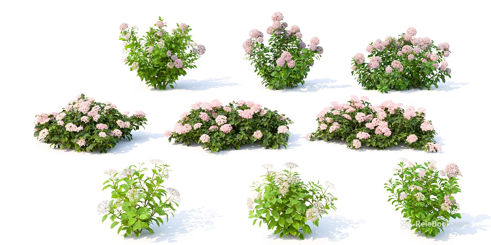 Colorful Garden Flowers and Plants with Pink White Blooms and Green Leaves Varieties 3d model 