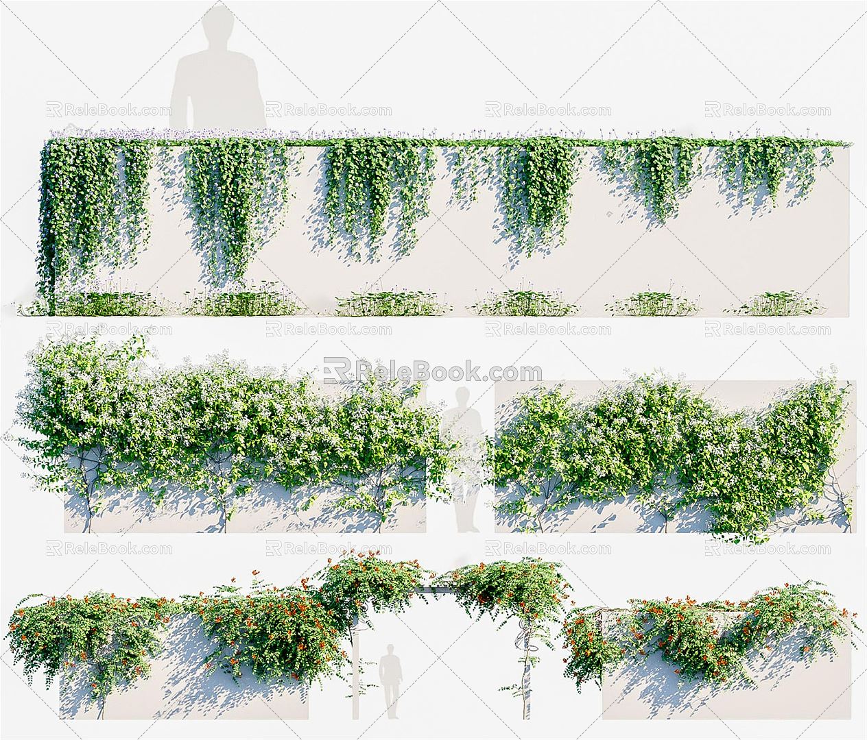 Modern Vine Green Plant Wall Vine Vine Plants Flowers Shrubs Flower Frame Parthenocissus Wall Creeper Hedge 3d model