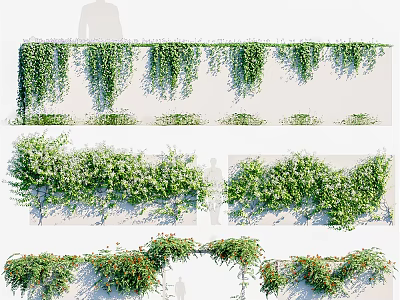 Lush Green Vines With Hanging and Wall Covering Forms for Natural Decorative Use 3d model