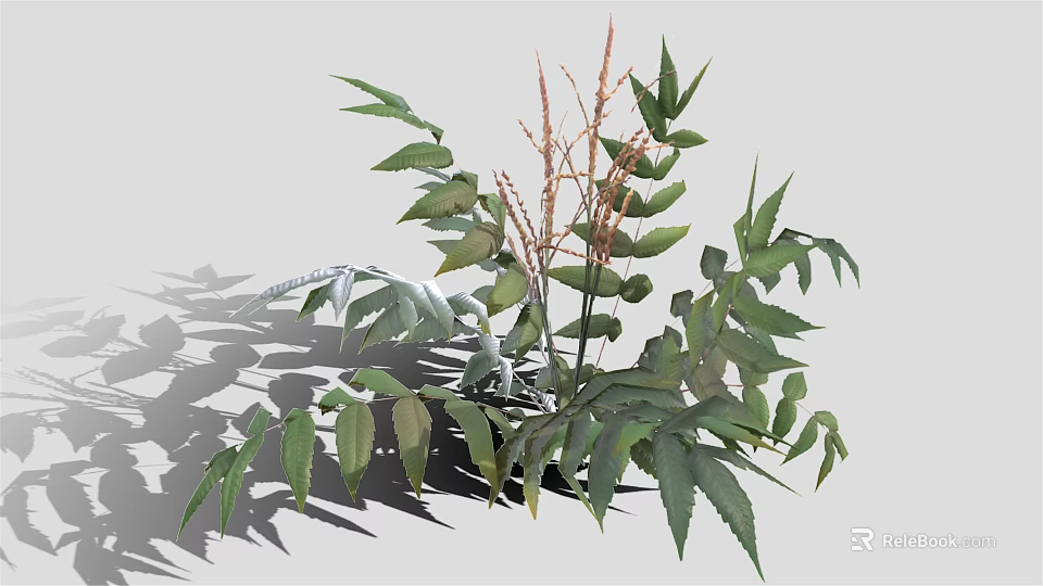 Healthy Green Plants Showcasing Diverse Leaf Shapes Slender Stems And Deep Green Foliage 3d model 