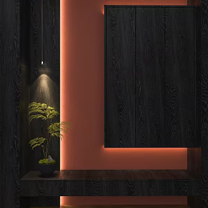 Style Entrance Cabinet 3d model