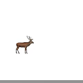 Deer Belt Action 3d model