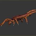 Red Tick with Orange Legs and Vibrant Red Body on Dark Background Close Up View
