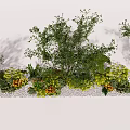Outdoor Flower and Plant Landscape Design with Green Shrubs Colorful Blooms and Natural Greenery