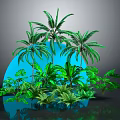 Lush Green Plants And Palm Trees With Blue Circular Background And Reflection 3d model