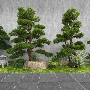 Outdoor trees 3d model