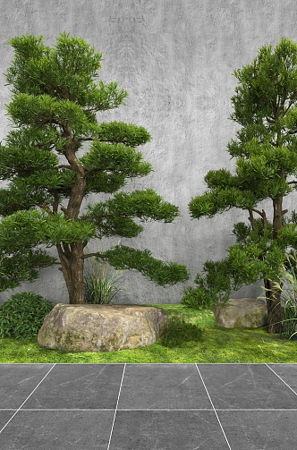 Outdoor trees 3d model